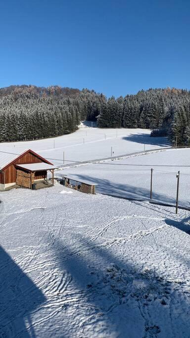 Idyllisches Ferienapartment Allgaeu Bad Groenenbach Ngoại thất bức ảnh